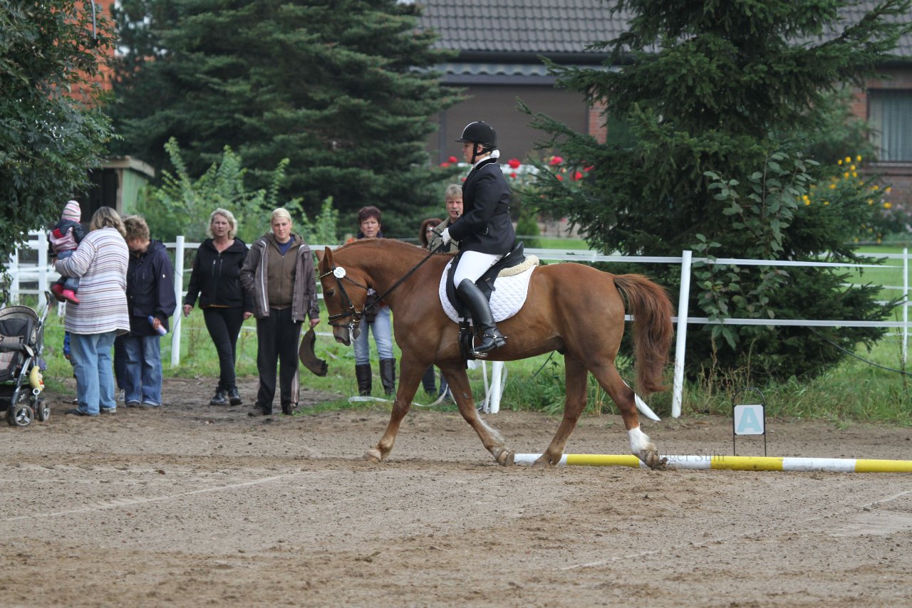 Bild 115 - WBO-Turnier am 18.9.11